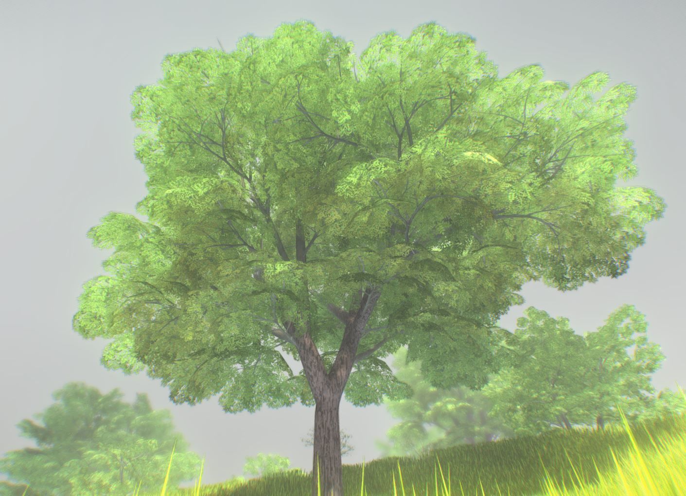 Low-Poly Walnut Tree Package Low-poly 3D model_1