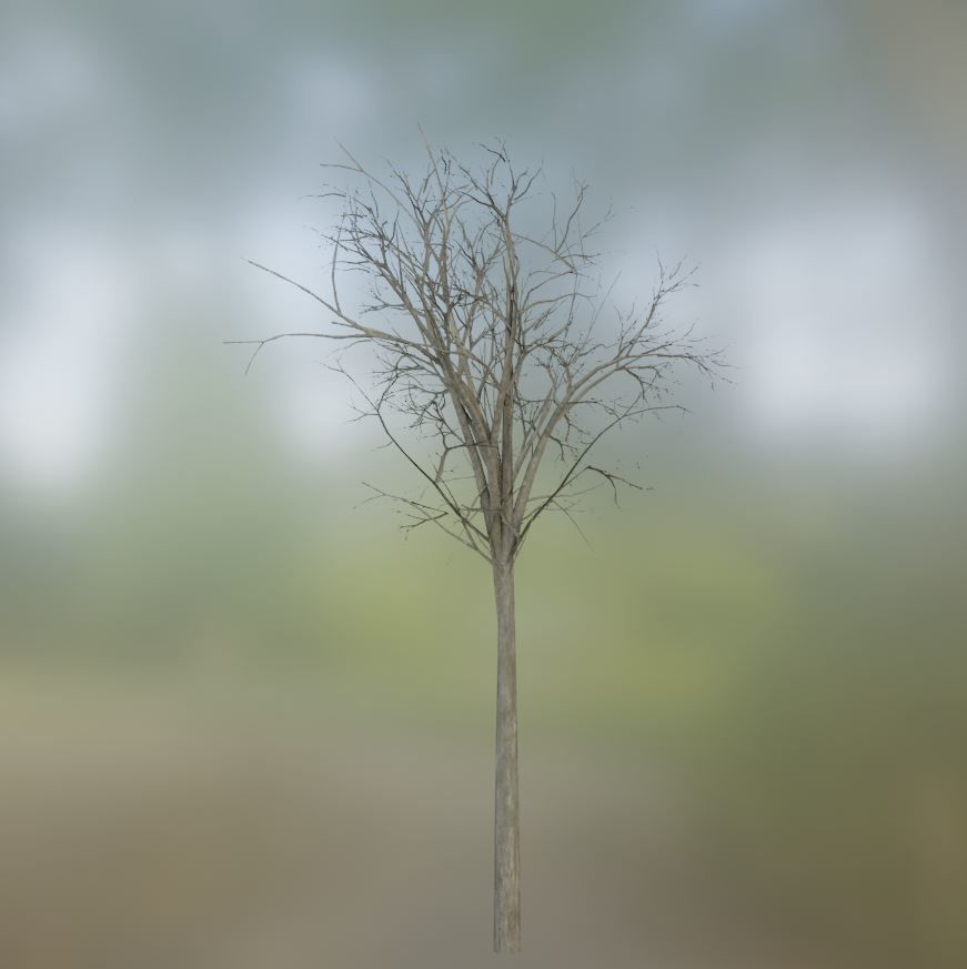 Low-Poly Walnut Tree Package Low-poly 3D model_25