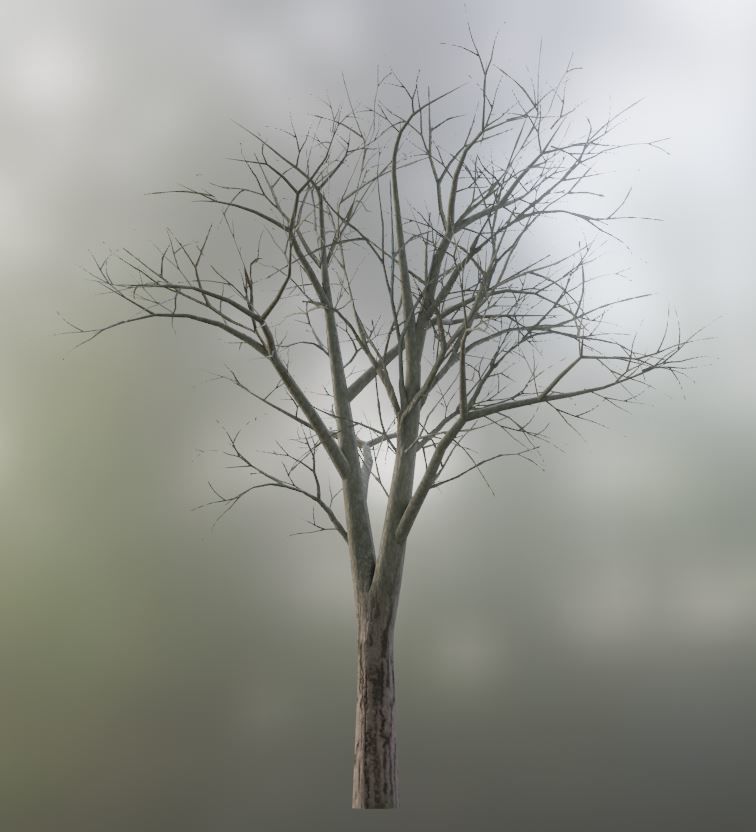 Low-Poly Walnut Tree Package Low-poly 3D model_27