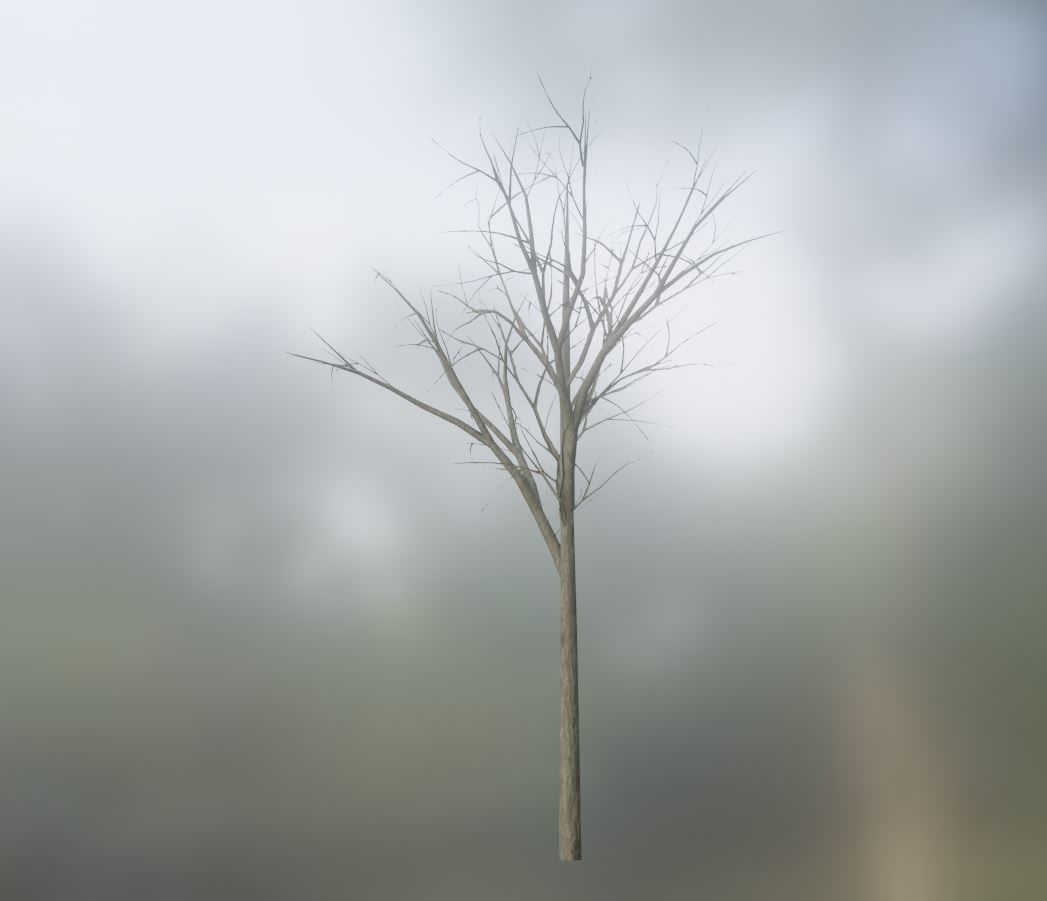 Low-Poly Walnut Tree Package Low-poly 3D model_18