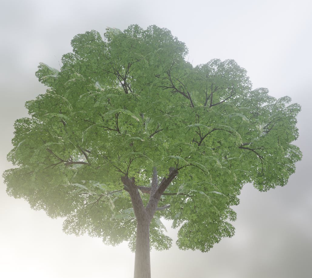 Low-Poly Walnut Tree Package Low-poly 3D model_11