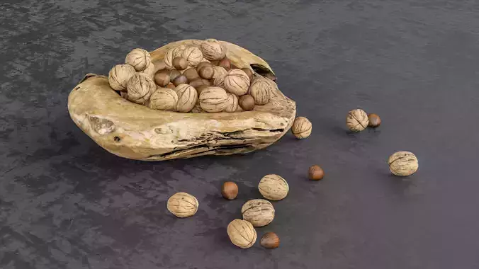 Walnut 3D model