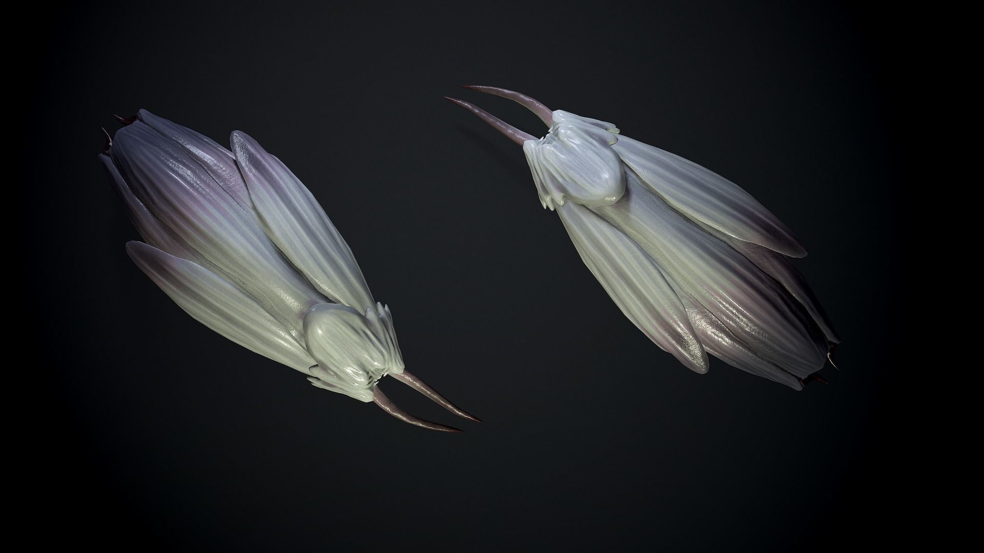 Clam creature1 - Game Ready Low-poly 3D model Low-poly 3D model_9