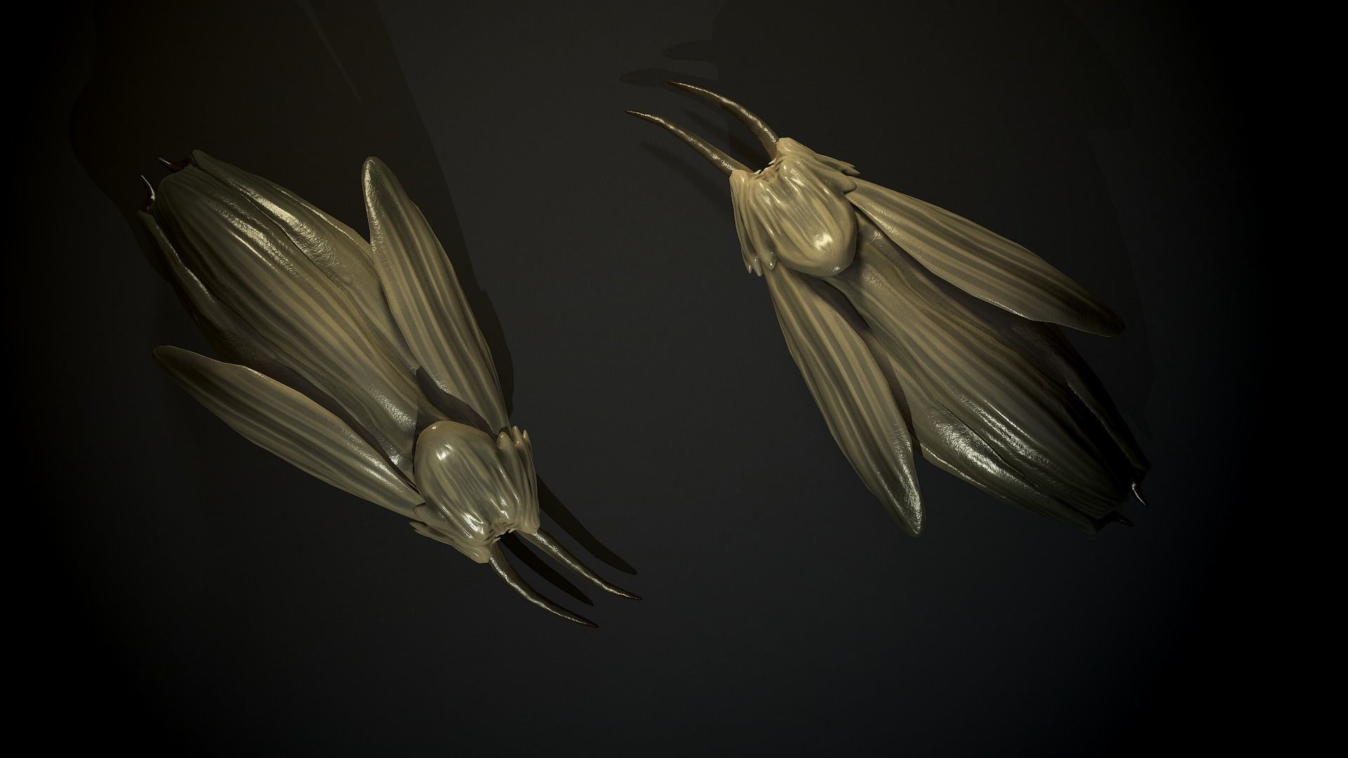 Clam creature1 - Game Ready Low-poly 3D model Low-poly 3D model_7