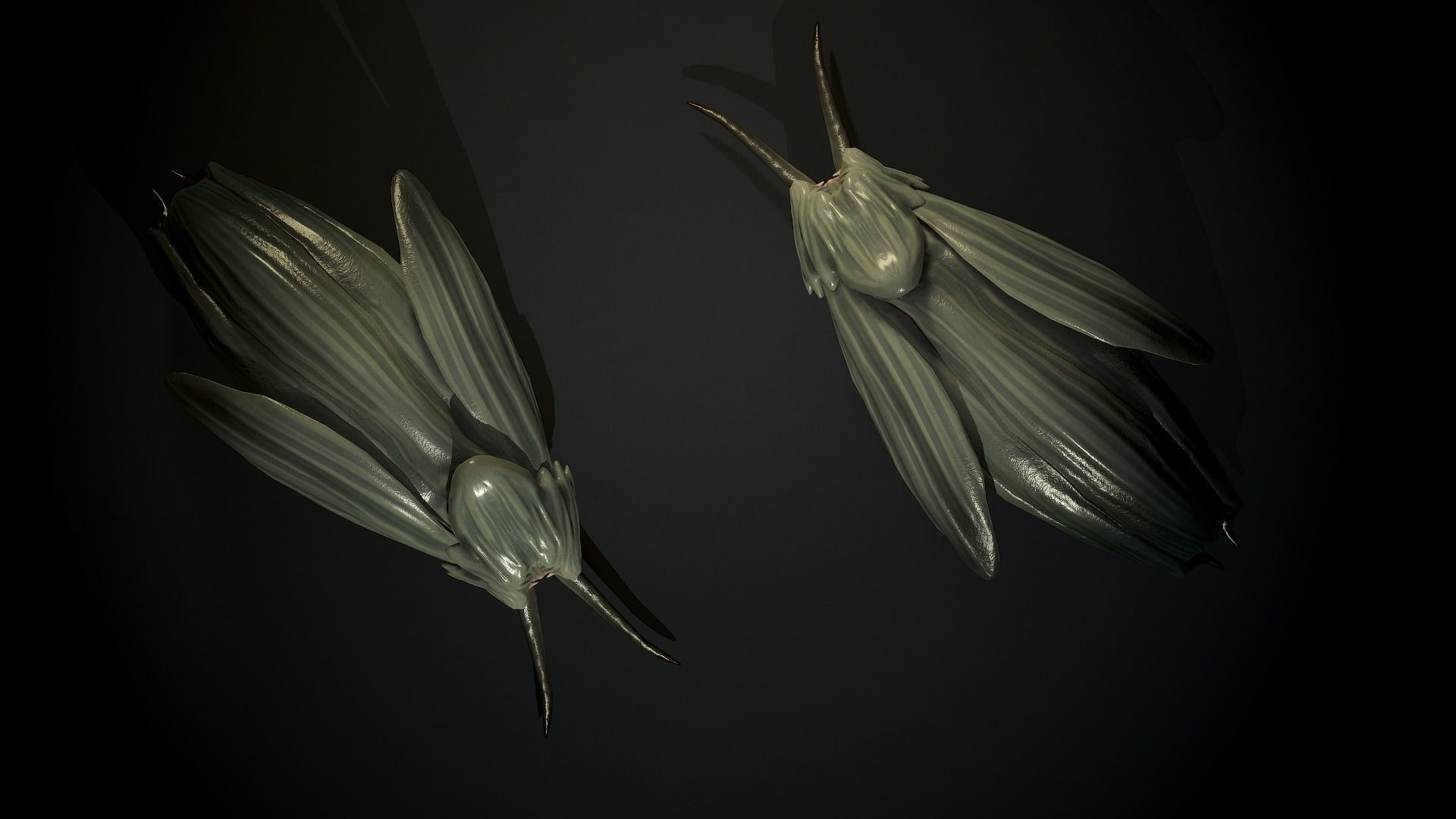 Clam creature1 - Game Ready Low-poly 3D model Low-poly 3D model_5