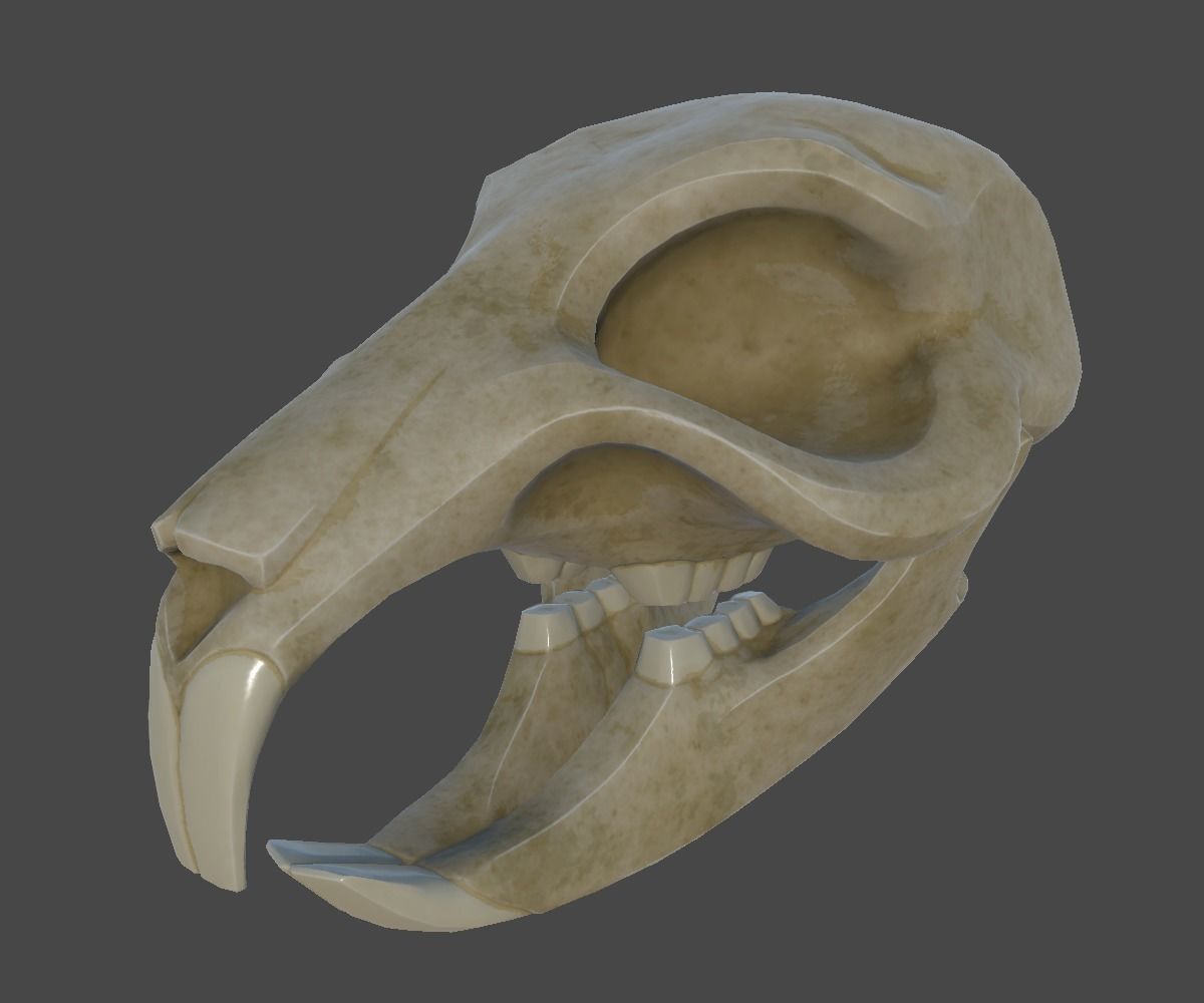 Rat Skull Low-poly 3D model_10