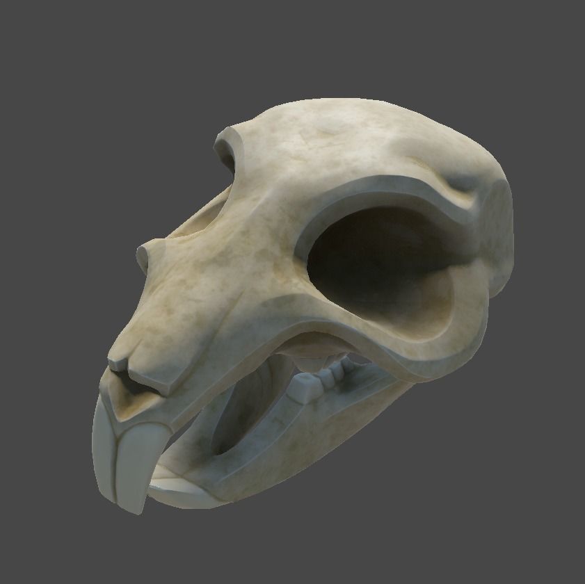 Rat Skull Low-poly 3D model_6