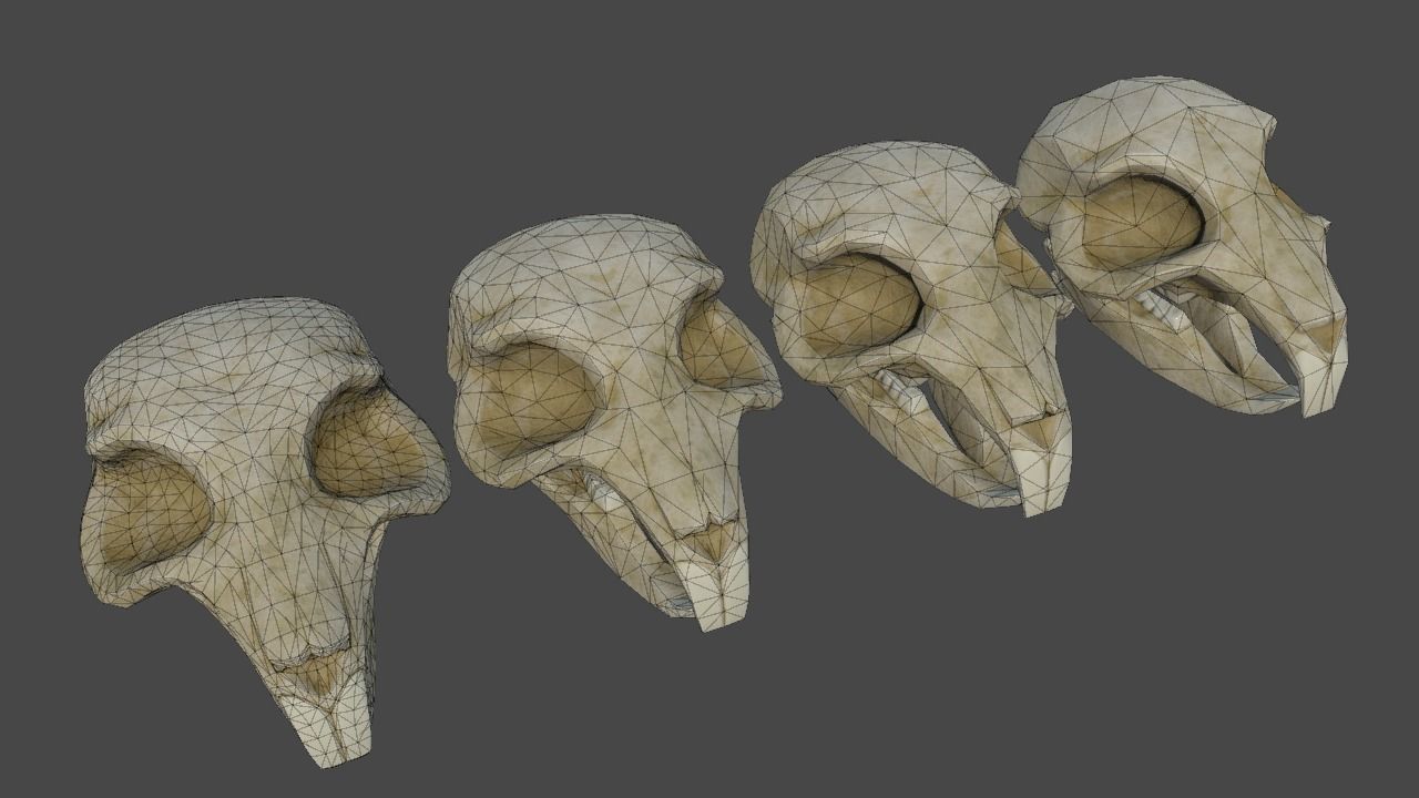 Rat Skull Low-poly 3D model_2