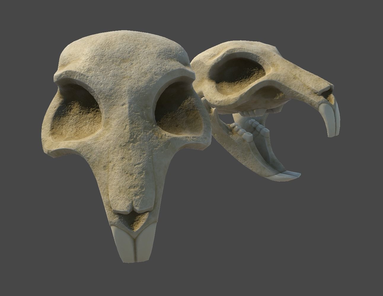 Rat Skull Low-poly 3D model_13