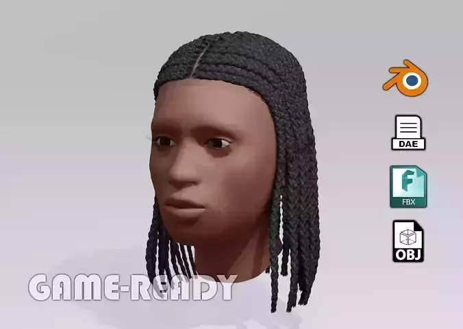 Female afro hair braids 3d Model v01 Low-poly 3D model Female afro hair braids 3d Model v01 Low-poly 3D model