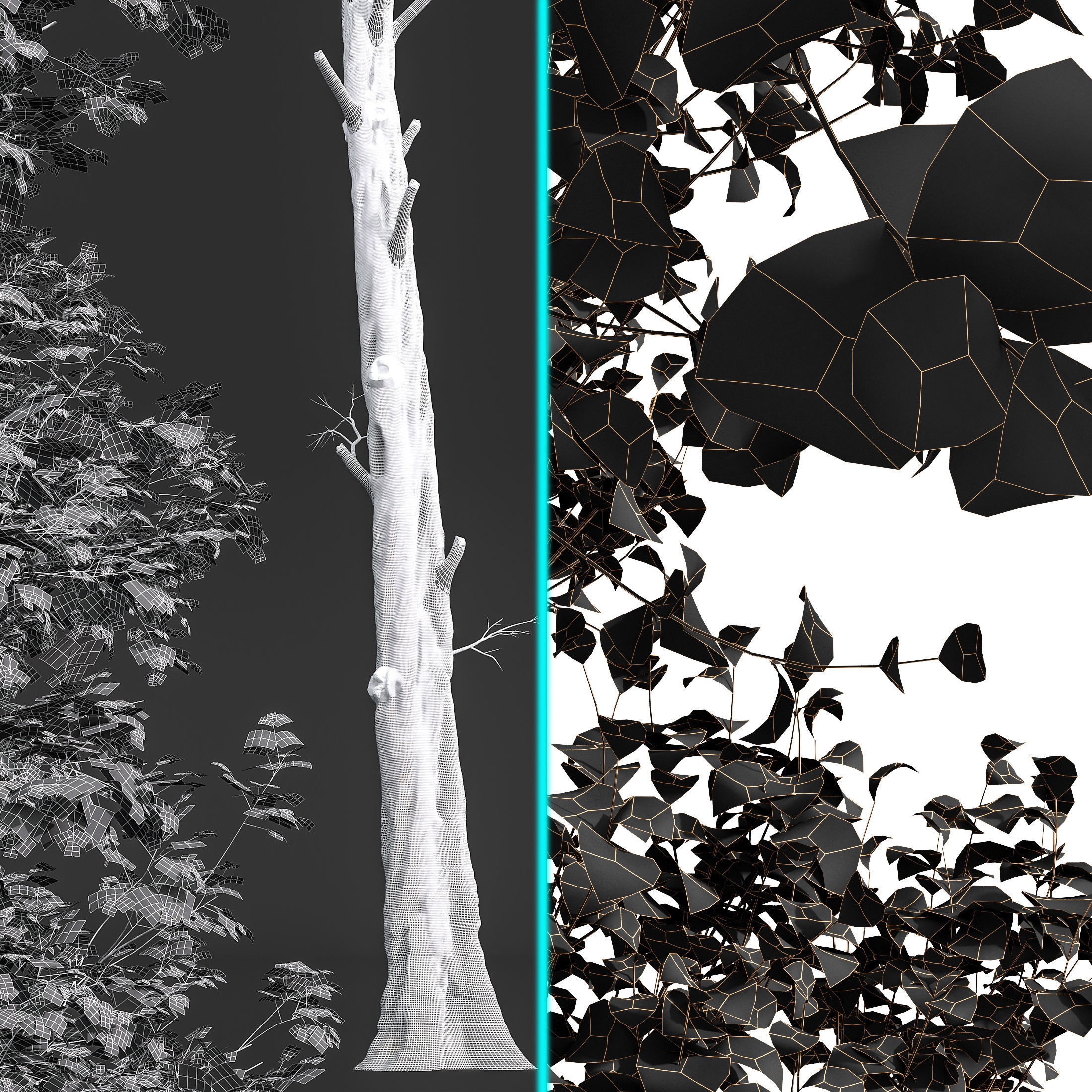 Fagus Sylvatica and Acer Saccharinum Summer 3D model_6