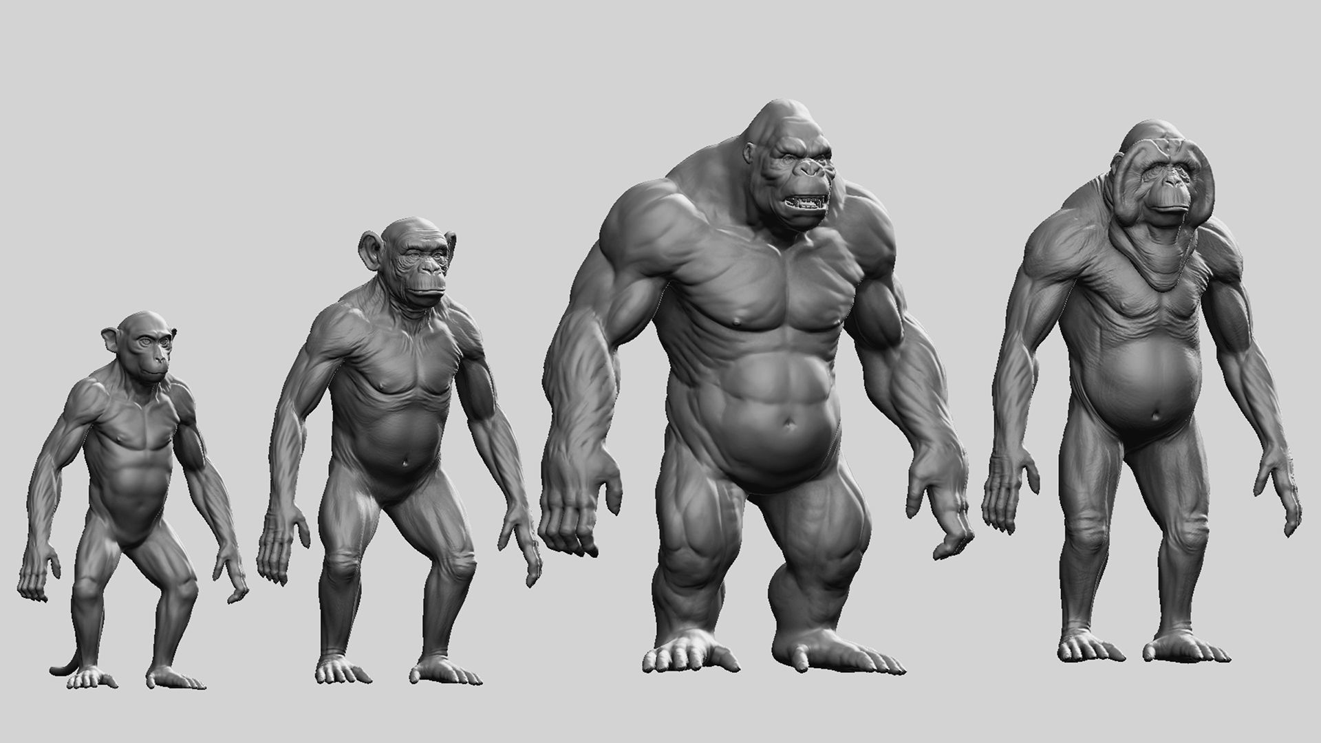 Primate Pack  III Monkey I Chimpanzee I Gorilla I Orangutan 3D Model Collection_1