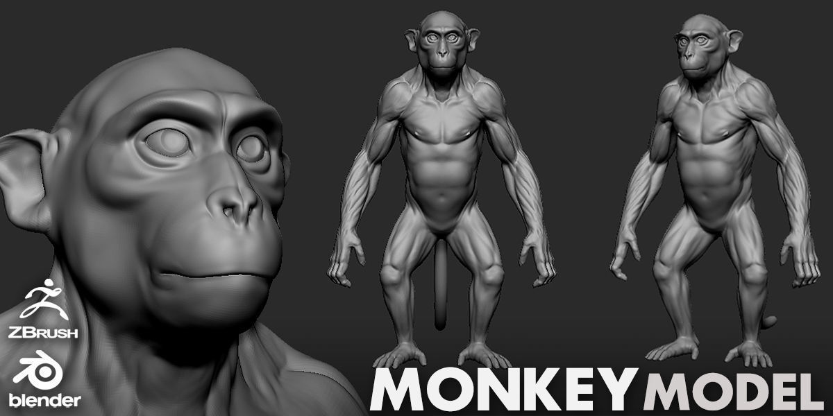 Primate Pack  III Monkey I Chimpanzee I Gorilla I Orangutan 3D Model Collection_6