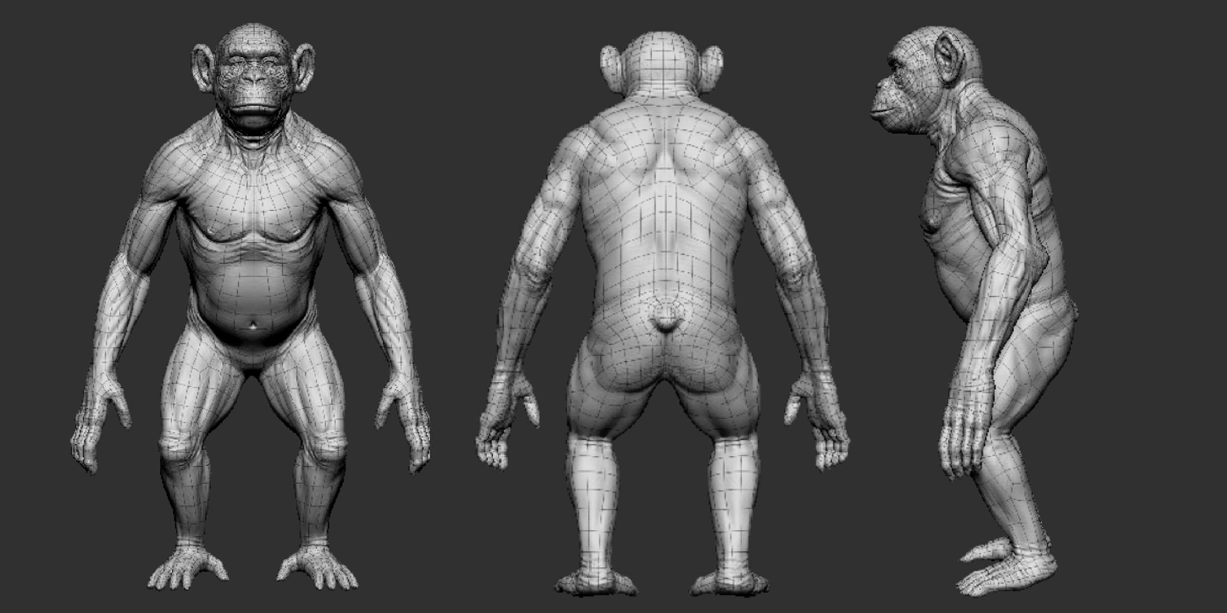 Primate Pack  III Monkey I Chimpanzee I Gorilla I Orangutan 3D Model Collection_11