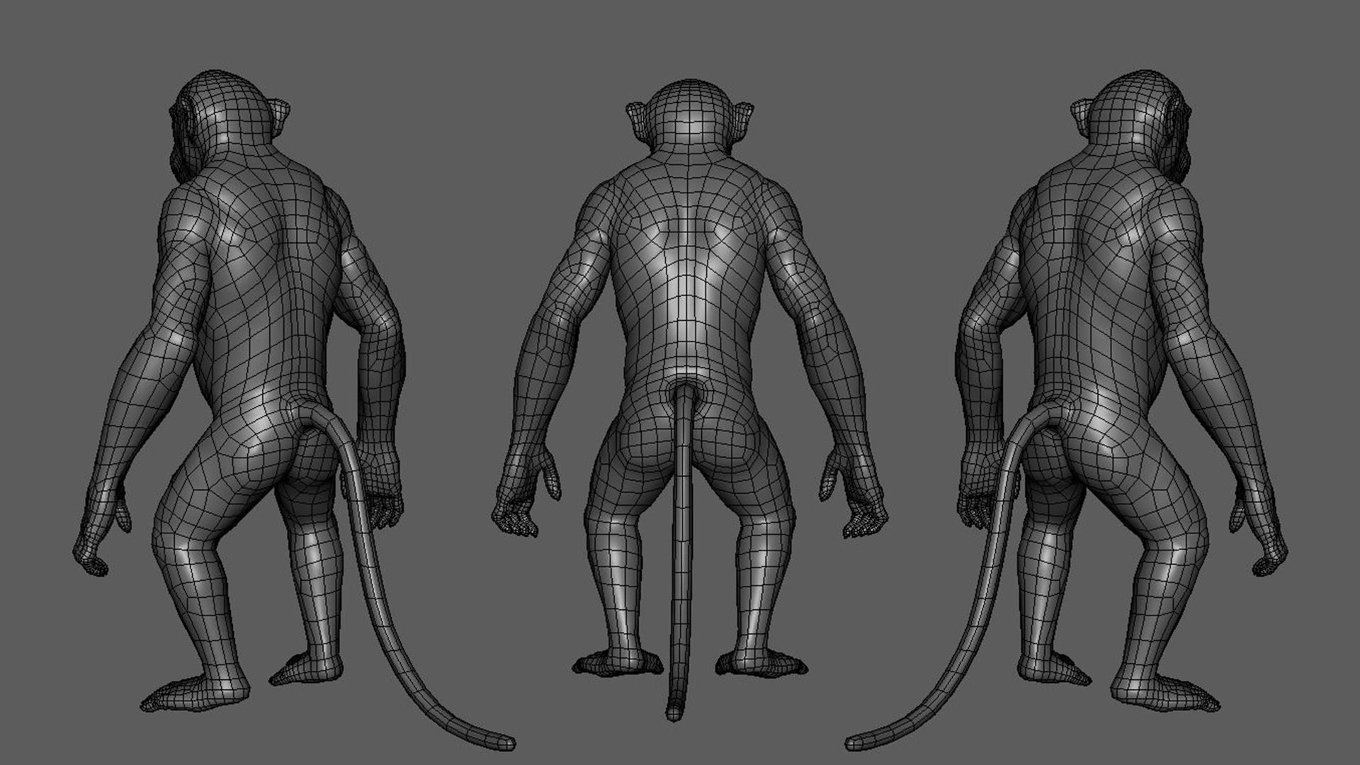 Primate Pack  III Monkey I Chimpanzee I Gorilla I Orangutan 3D Model Collection_21