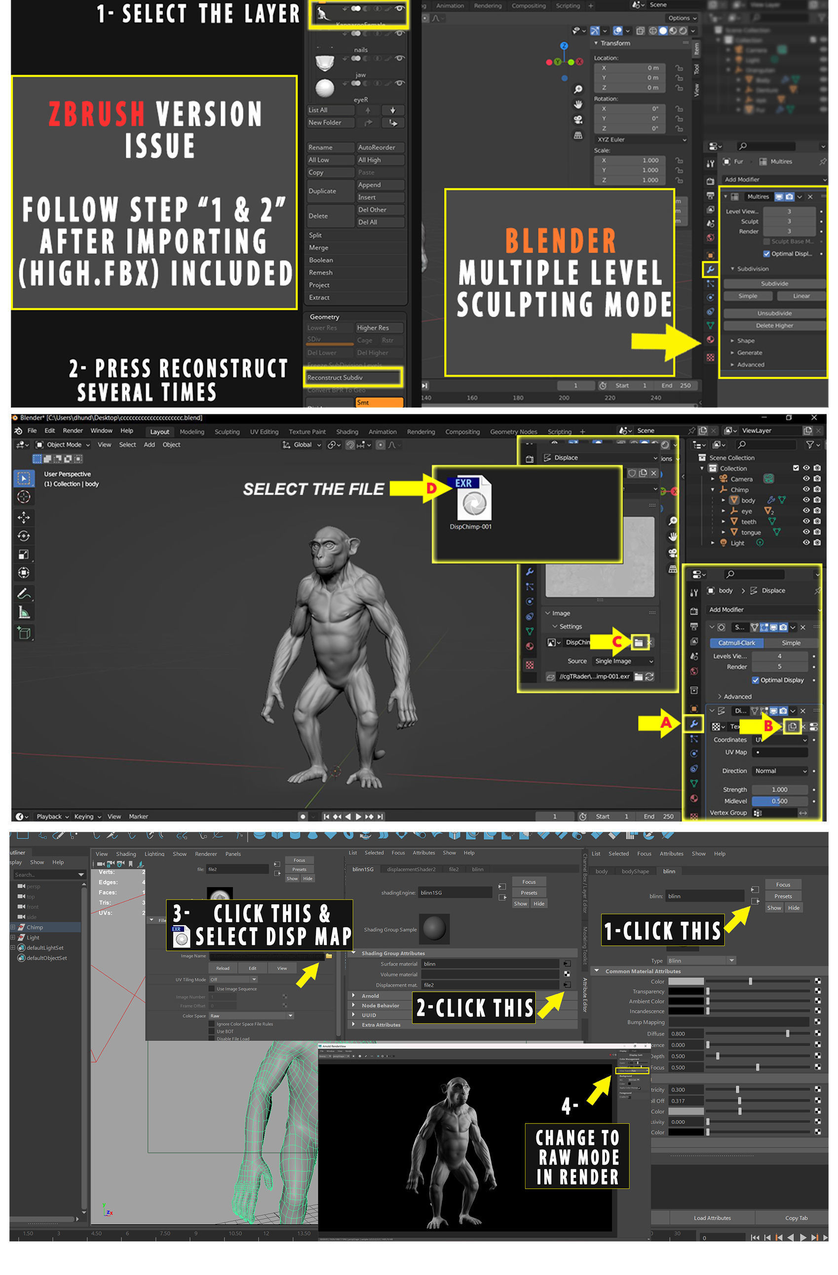 Primate Pack  III Monkey I Chimpanzee I Gorilla I Orangutan 3D Model Collection_23