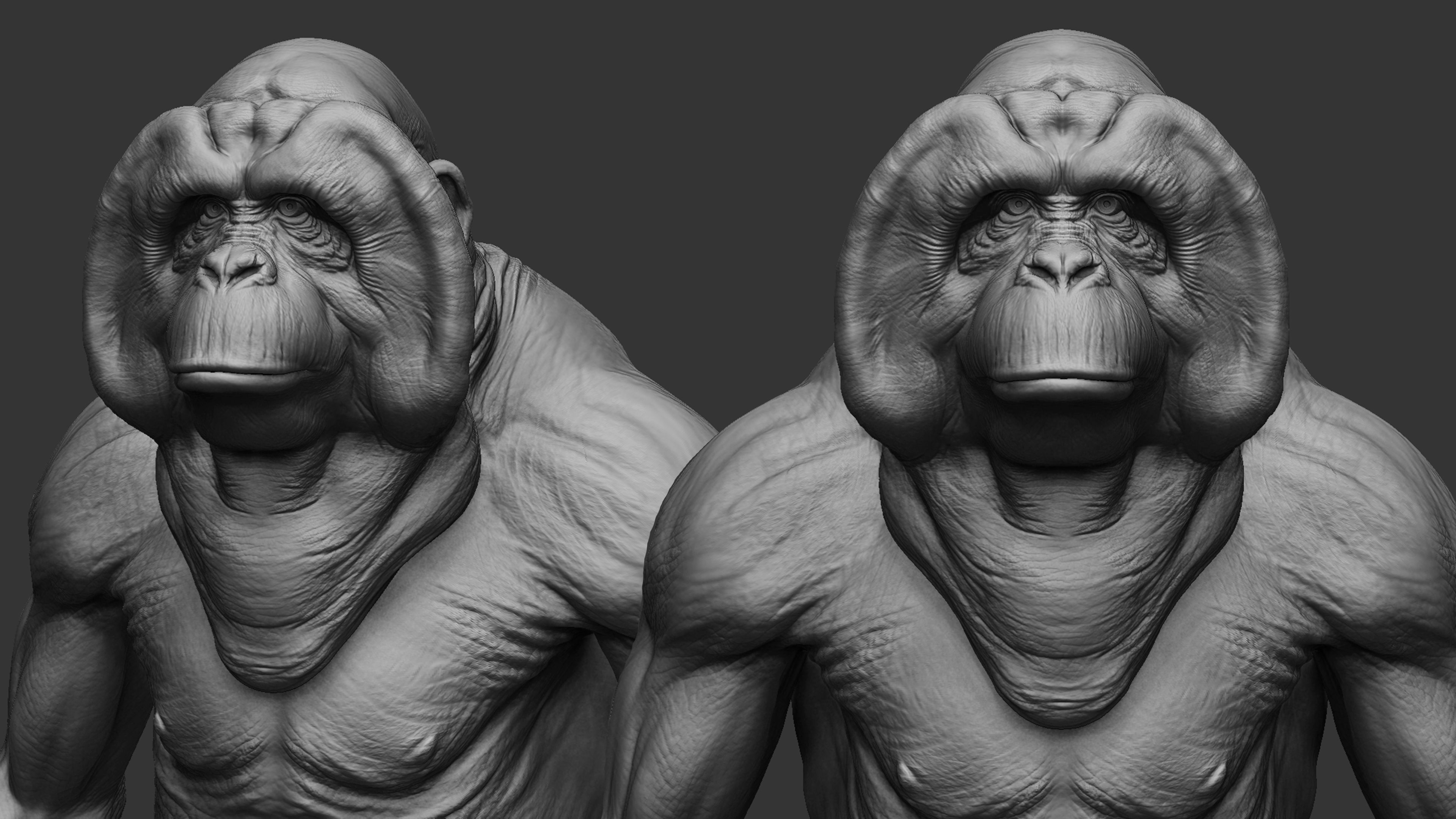 Primate Pack  III Monkey I Chimpanzee I Gorilla I Orangutan 3D Model Collection_14