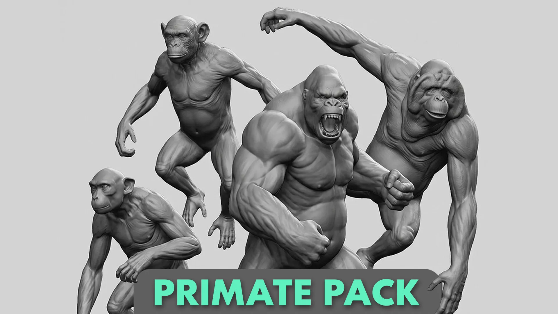 Primate Pack III Monkey I Chimpanzee I Gorilla I Orangutan