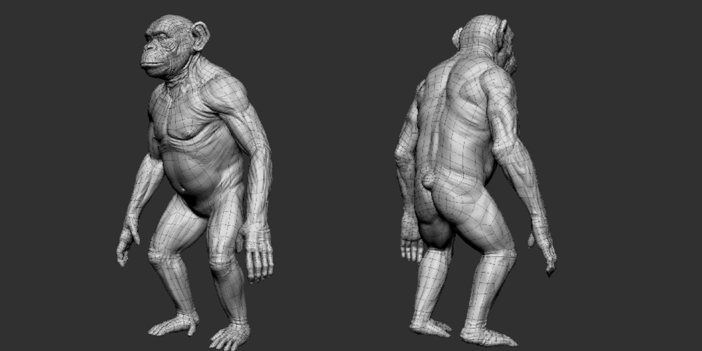 Primate Pack  III Monkey I Chimpanzee I Gorilla I Orangutan 3D Model Collection_12