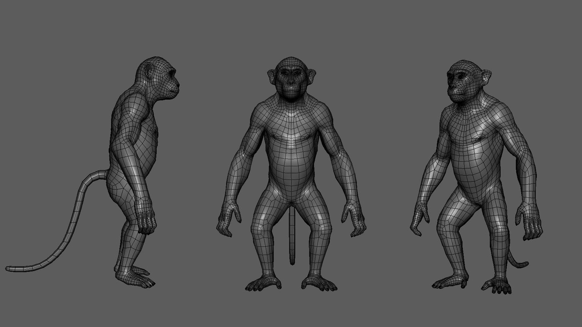 Primate Pack  III Monkey I Chimpanzee I Gorilla I Orangutan 3D Model Collection_20