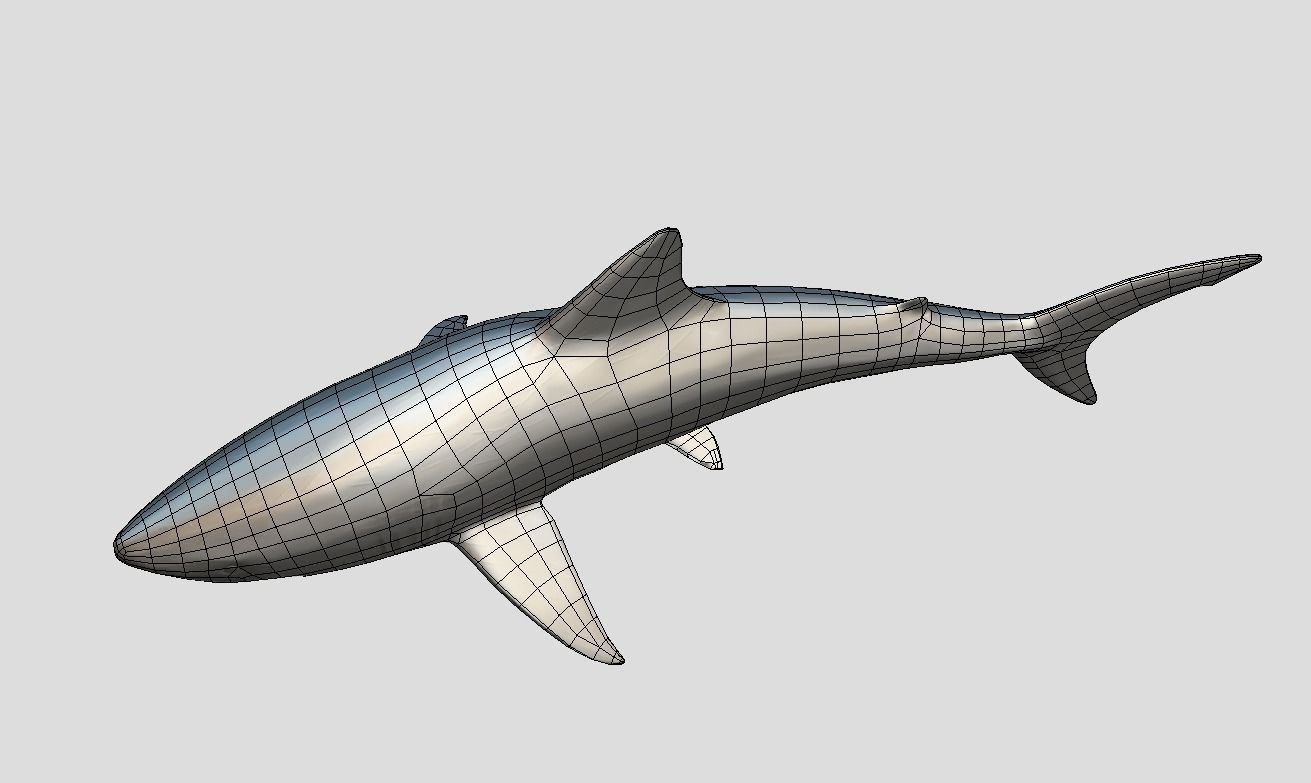 Bull Shark Realistic Animated Low-poly 3D model_9