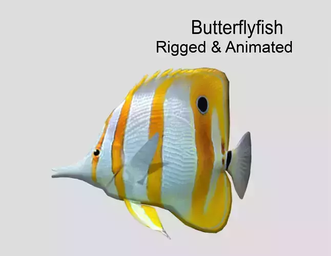 Butterflyfish Realistic Animated Low-poly 3D model