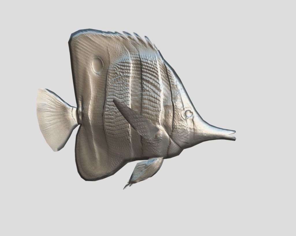 Butterflyfish Realistic Animated Low-poly 3D model_1