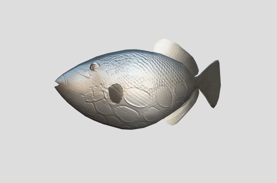 Clown Triggerfish Realistic Animated Low-poly 3D model_5