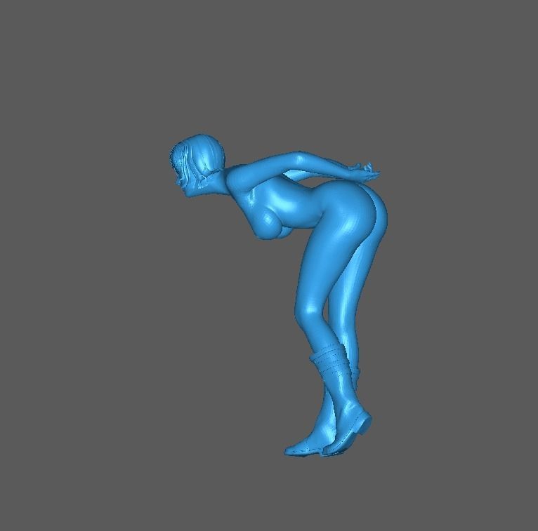 Figure Rina Sexy Girl 1-64 Scale 3D print model_5