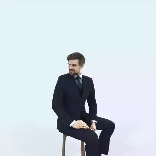 Ingrain 38F Listening Sitting Elegant Business Man