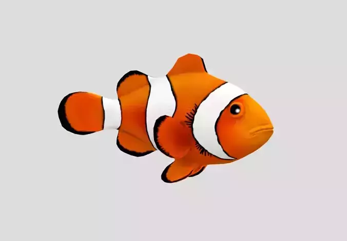 Clownfish Realistic Animated Low-poly 3D model
