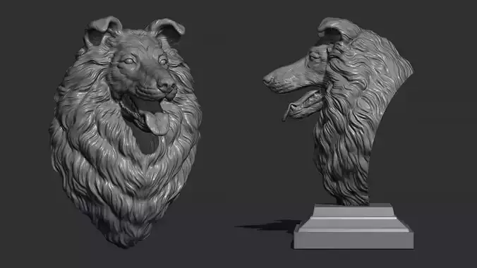 Collie Dog head 3D print model