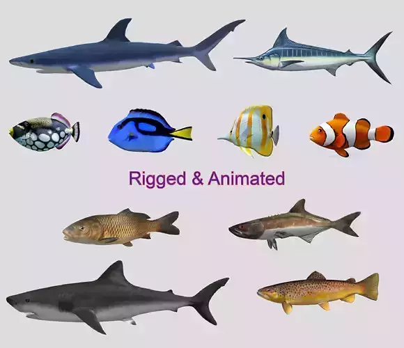 Fish Collection Animated - Game Ready Pack 2 Low-poly 3D model
