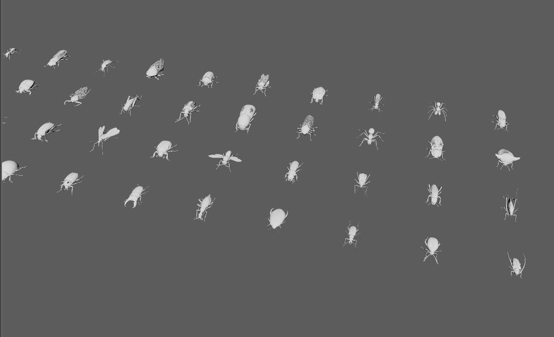 60 Insect Model 3D print model_6