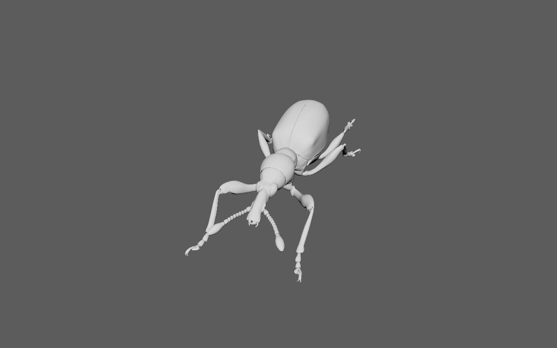60 Insect Model 3D print model_3