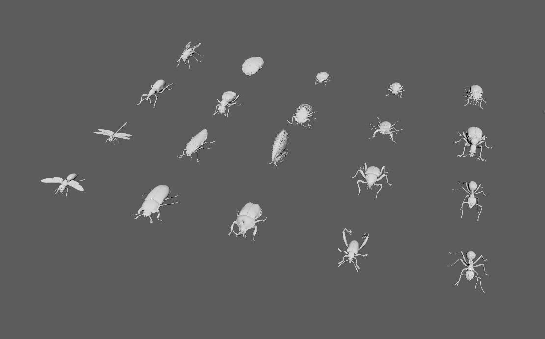 60 Insect Model 3D print model_5