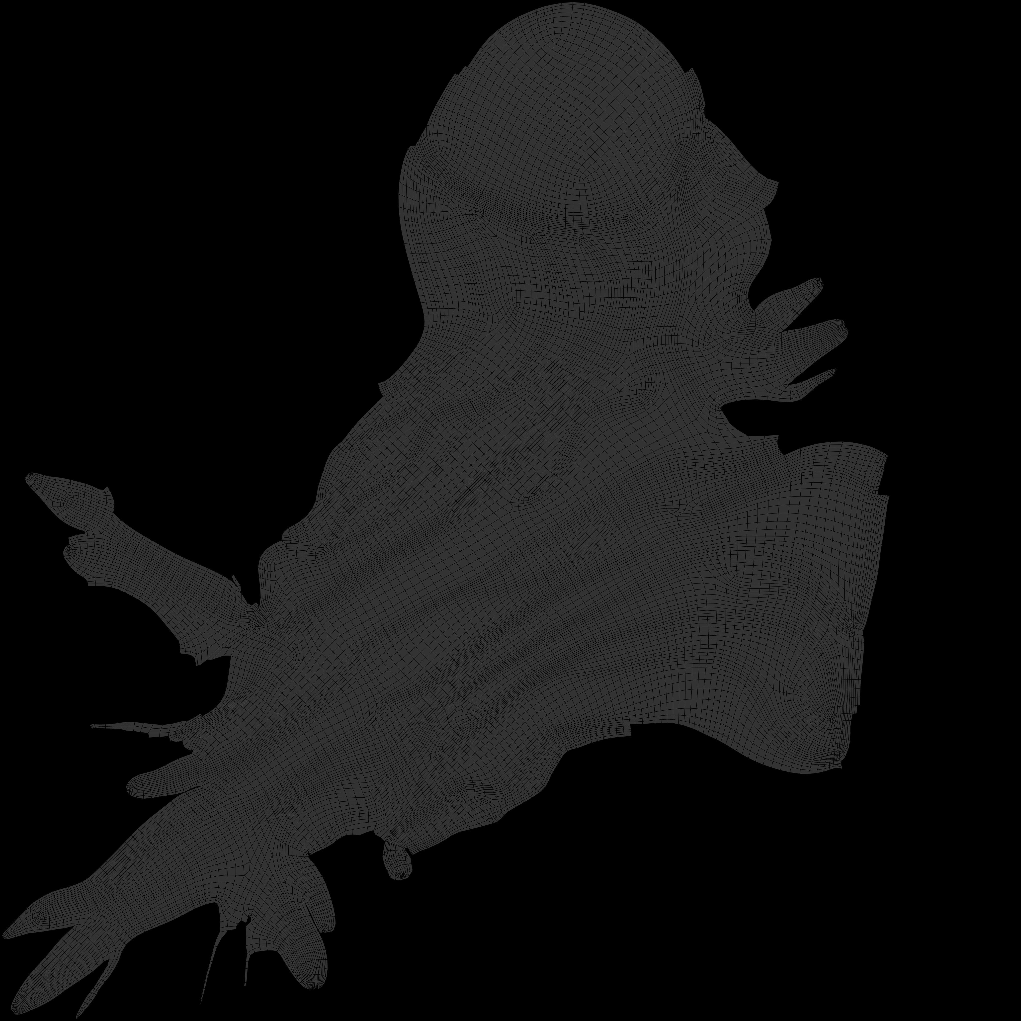 Old empty brown tree  3D model_6