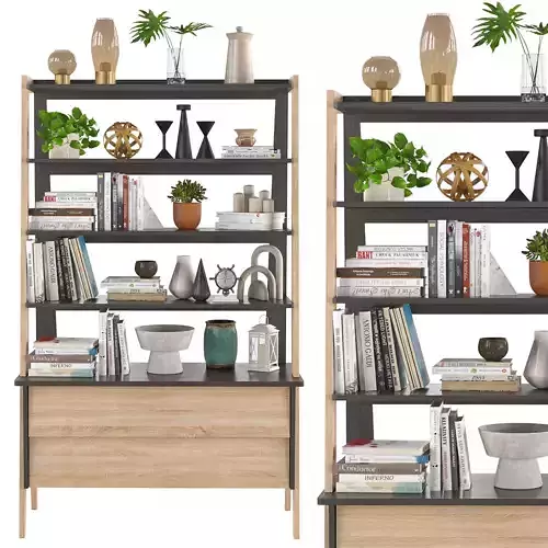 Wide bookcase Leset Scandi with cabinet 3D model