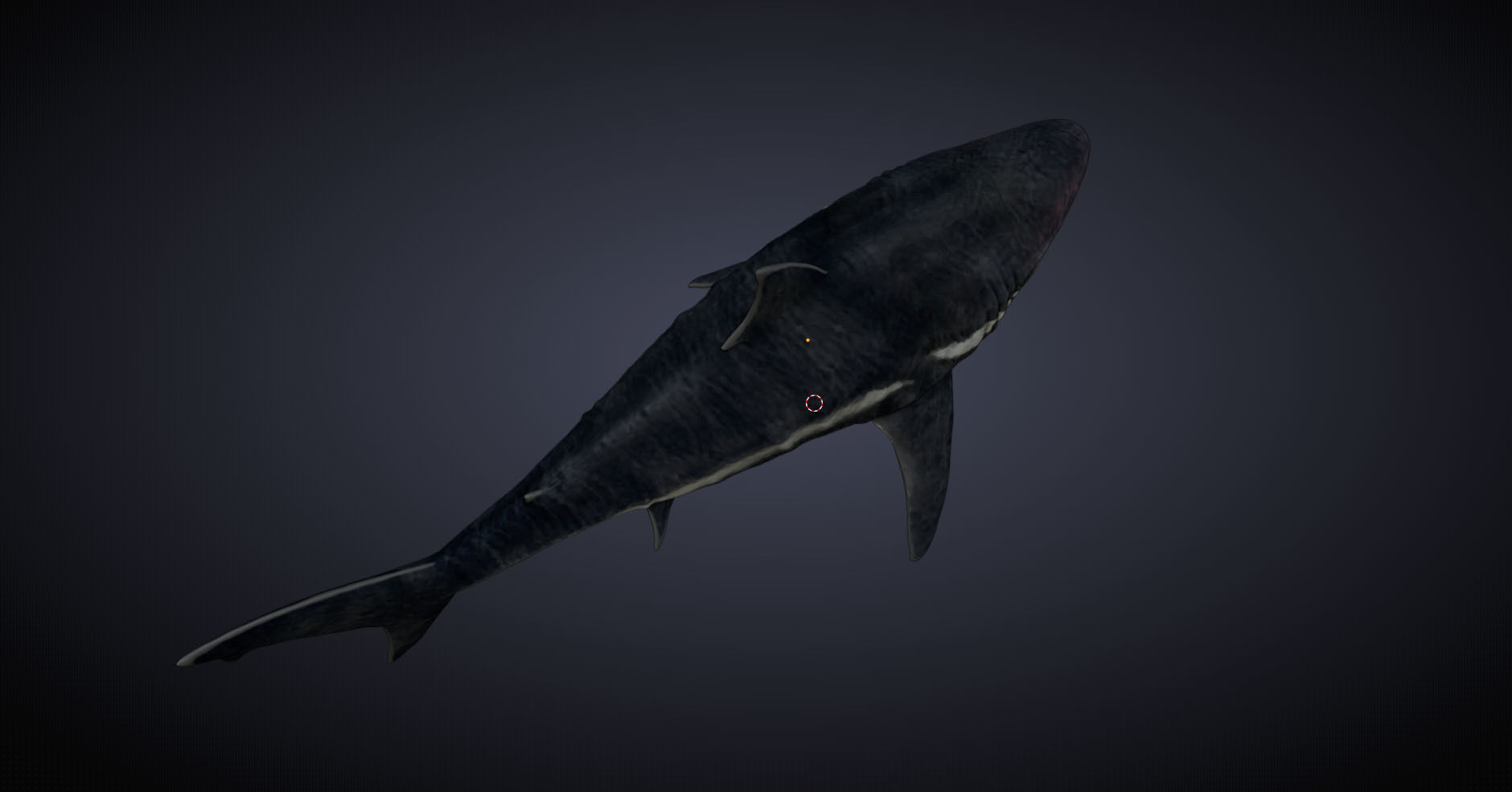 Megalodon 3D model_9
