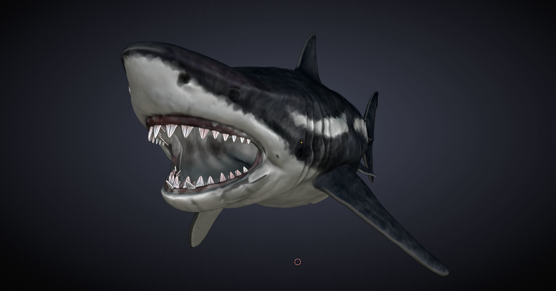 Megalodon 3D model_10