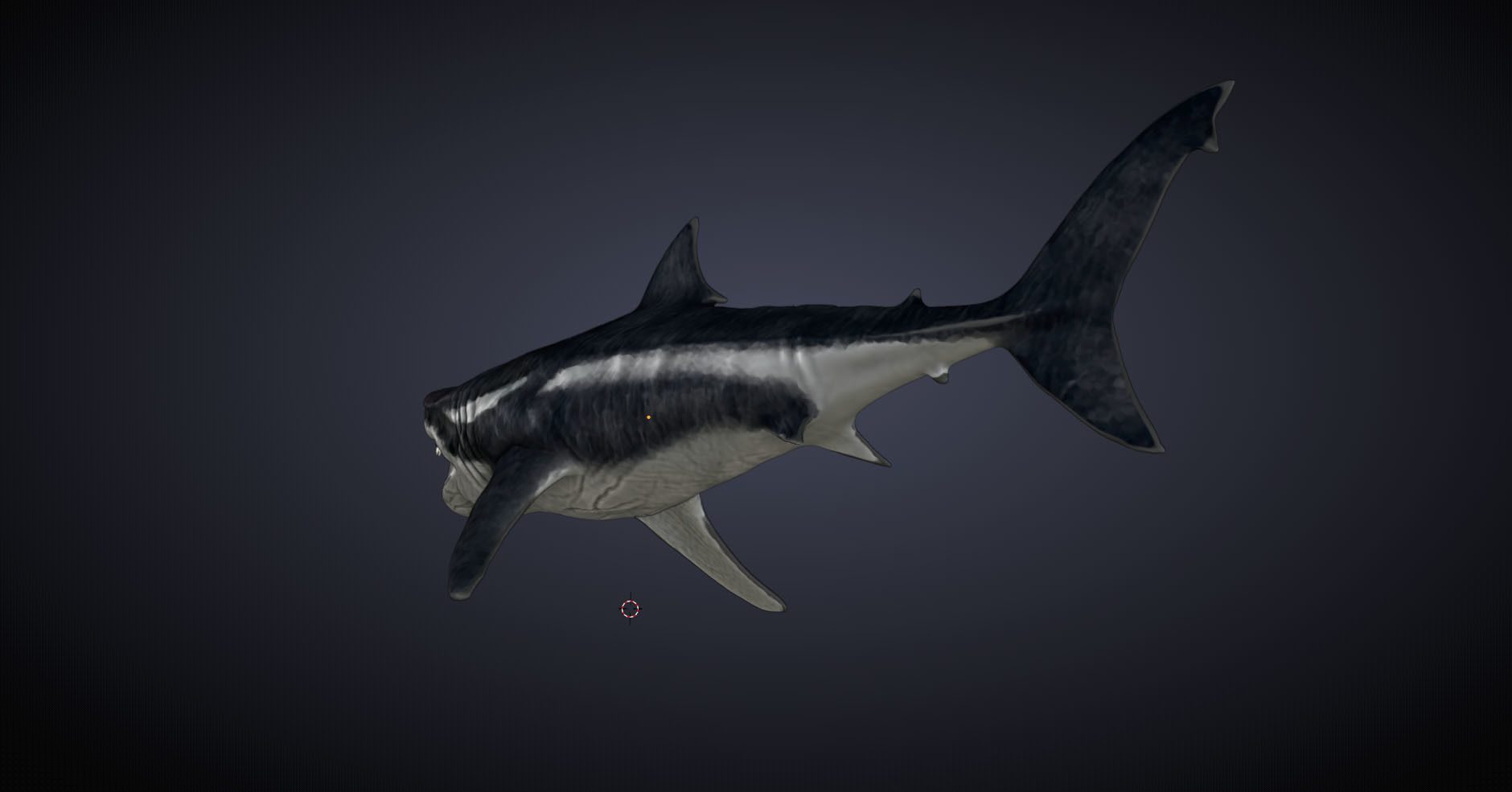 Megalodon 3D model_7