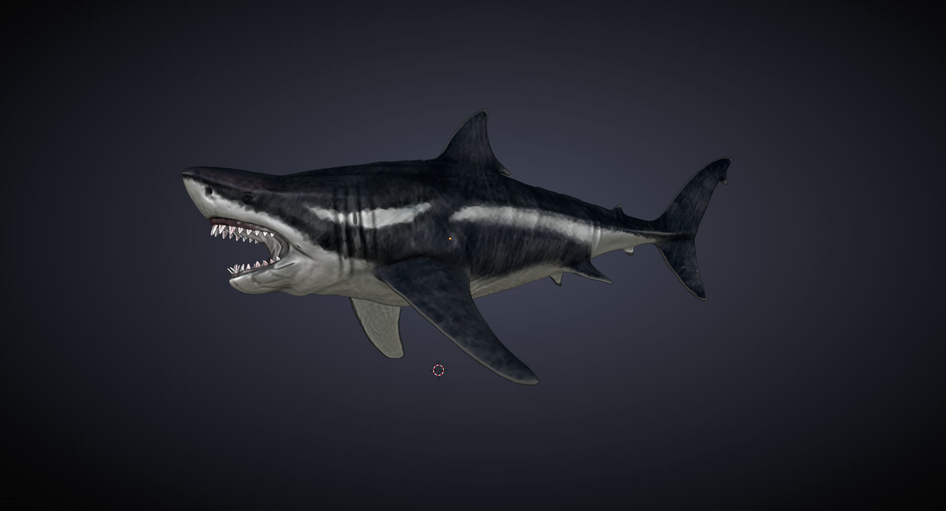 Megalodon 3D model_11