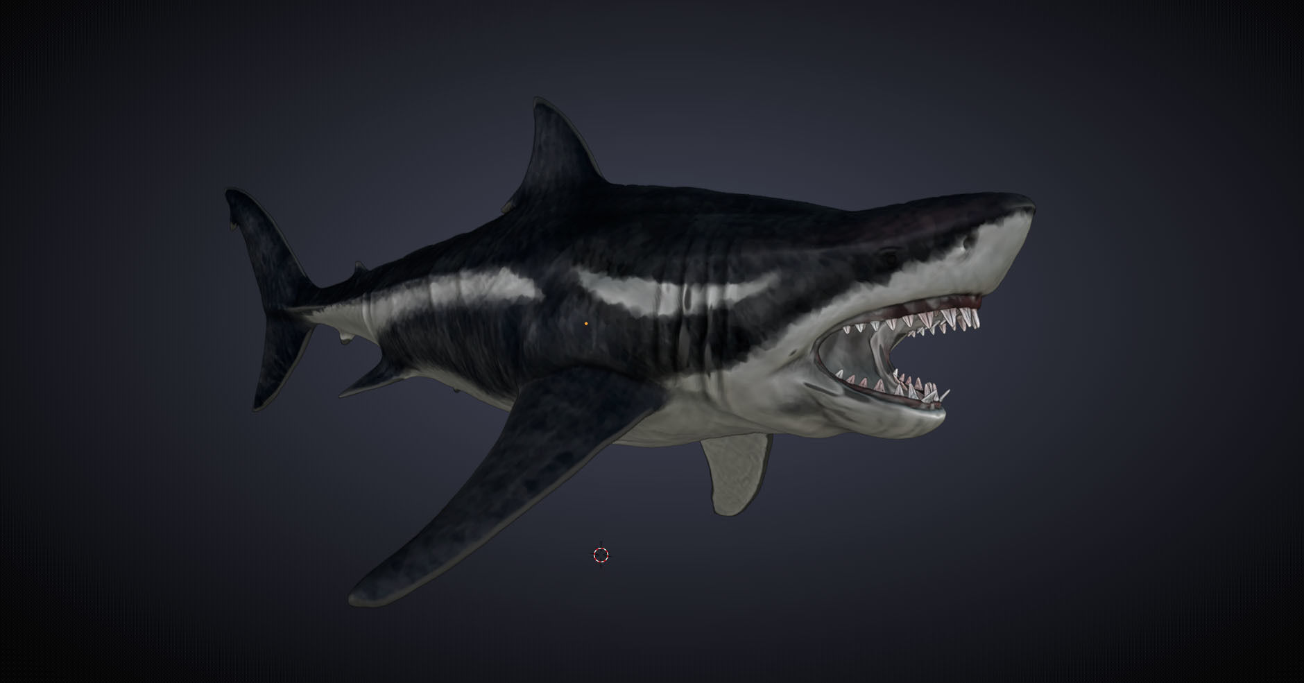 Megalodon 3D model_6