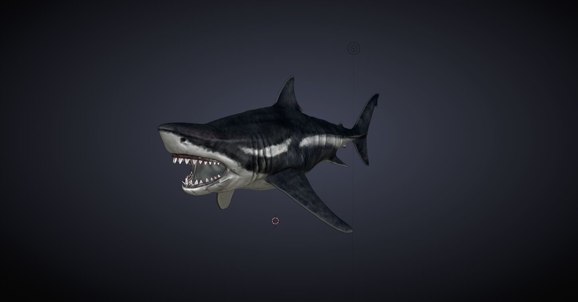 Megalodon 3D model_5