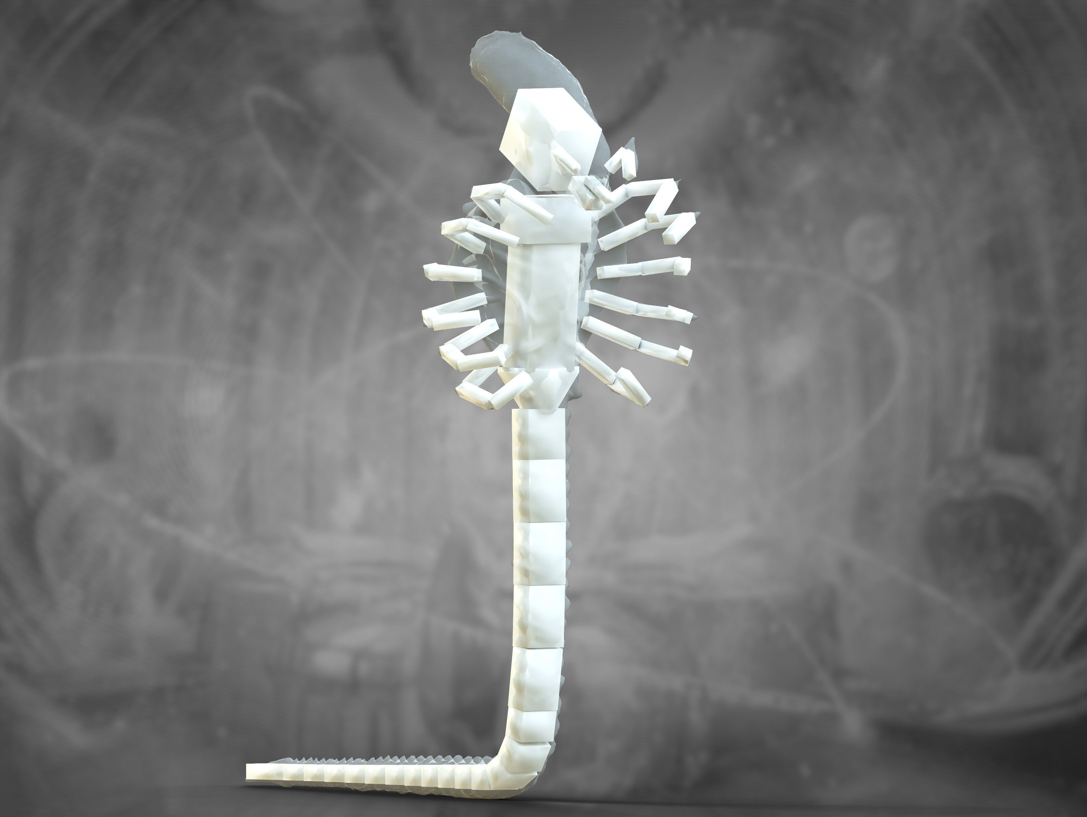 Xenomorph Snake Low-poly 3D model_15