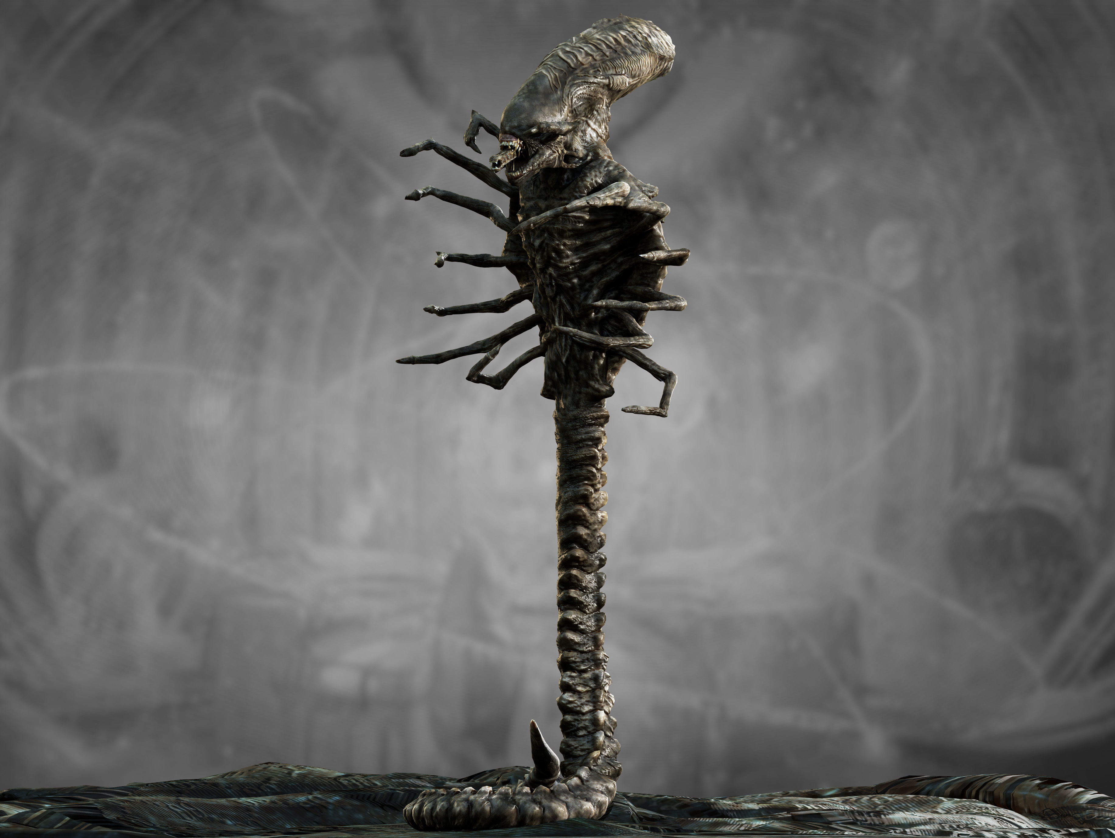 Xenomorph Snake Low-poly 3D model_13