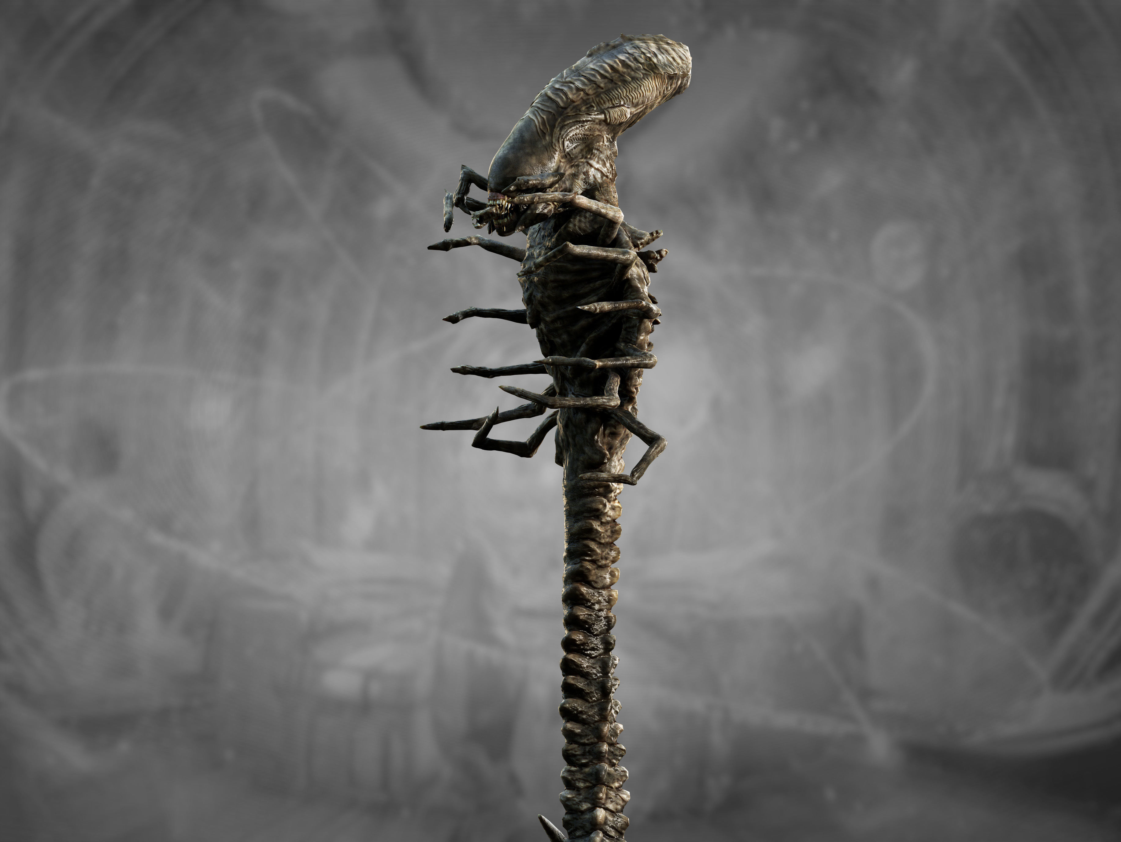 Xenomorph Snake Low-poly 3D model_9