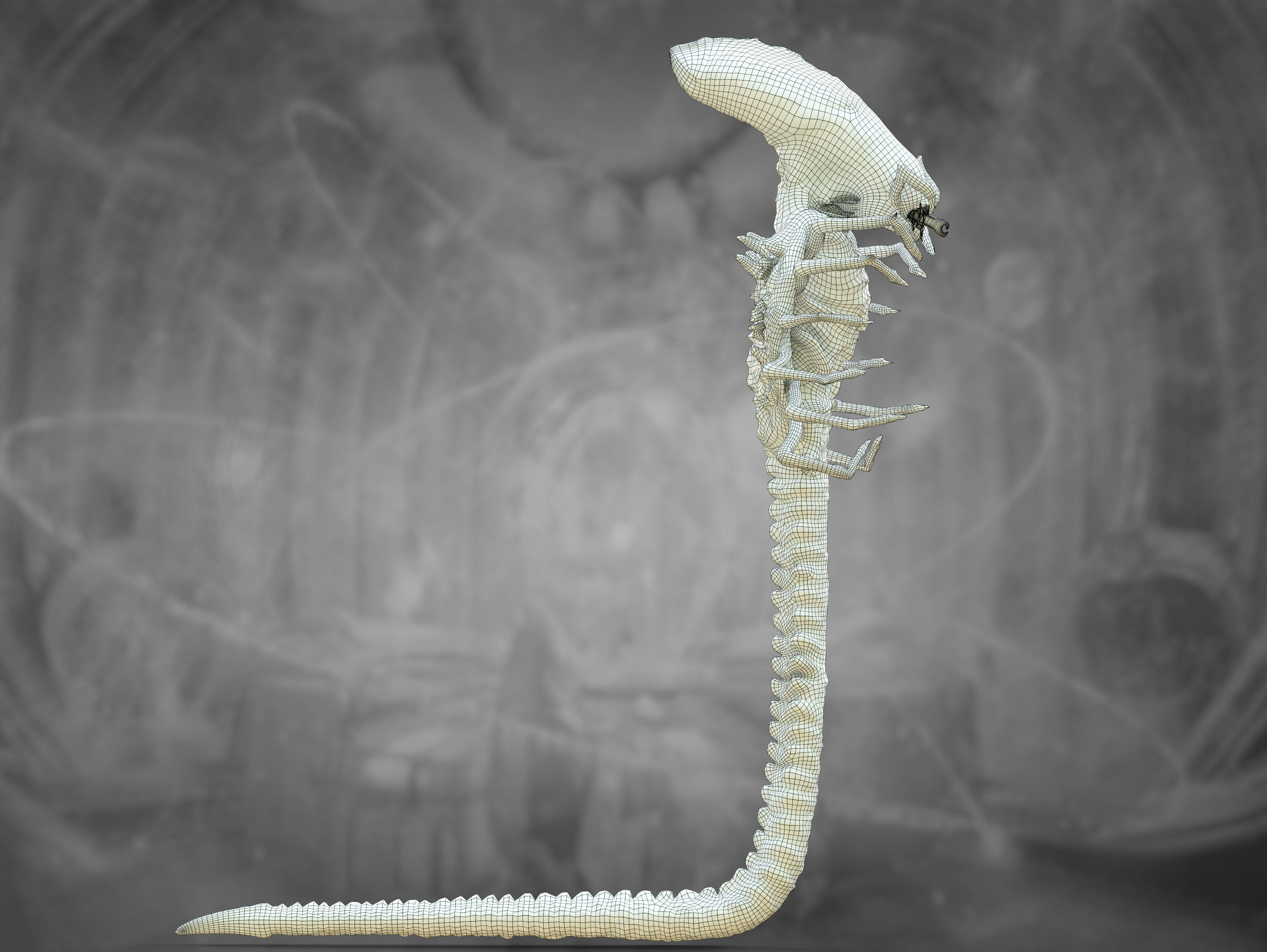 Xenomorph Snake Low-poly 3D model_17