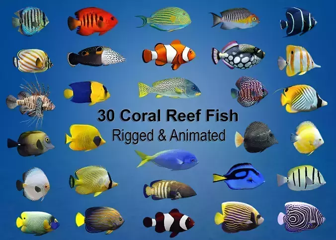 Coral Reef Fish Collection Animated - Game Ready pack 1 Low-poly 3D model