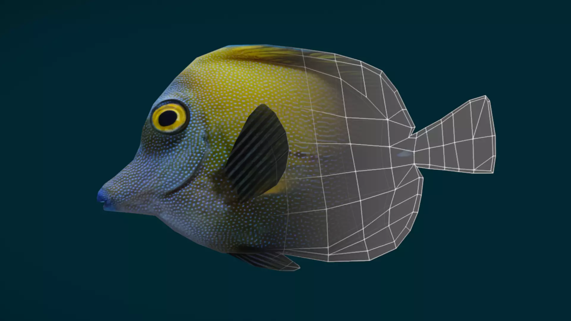 Coral Reef Fish Collection Animated - Game Ready pack 1 Low-poly 3D model_41